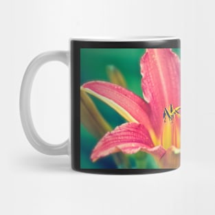 Daylily in Bloom Mug